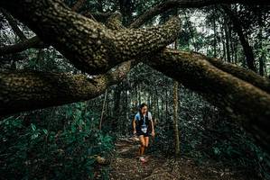 BIB: 
                            <button type="button" onclick="openModal(25708001)" class="btn btn-primary btn-sm float-right btn-popup" data-toggle="modal" data-target=".modal-high-quality">
                        <i class="fas fa-shopping-cart"></i> Add to Cart
                    </button>
                                            <button type="button" onclick="isThisMe(25708001, true)" class="btn btn-success btn-sm float-right btn-popup btn-isme hidden" data-toggle="tooltip" data-placement="bottom" title="นี่คือรูปของคุณใช่ไหม คลิกที่นี่เพื่อเอาเข้าอัลบั้ม">
                        <i class="fas fa-plus"></i> Add to album
                    </button>
                    <button type="button" onclick="isThisMe(25708001, false)" class="btn btn-warning btn-sm float-right btn-popup btn-isnotme hidden">
                        <i class="fas fa-ban"></i> Remove from album
                    </button>